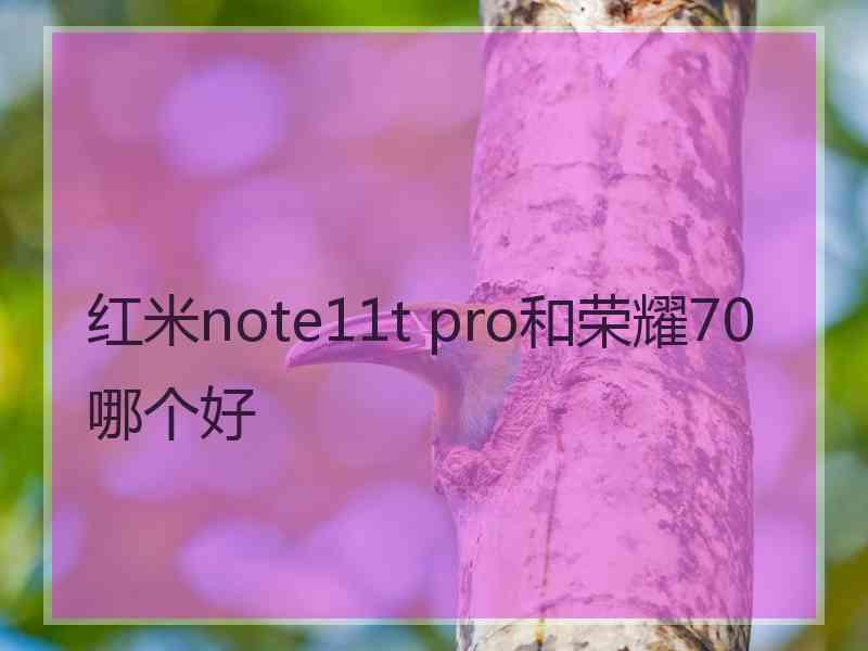 红米note11t pro和荣耀70哪个好