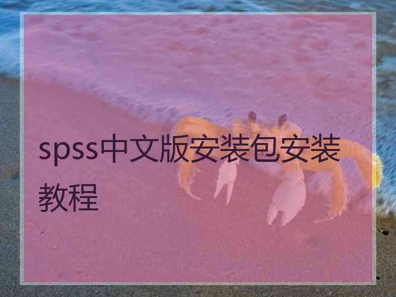 spss中文版安装包安装教程