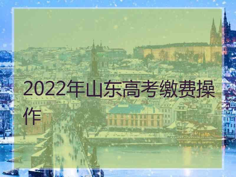 2022年山东高考缴费操作