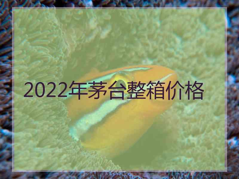 2022年茅台整箱价格