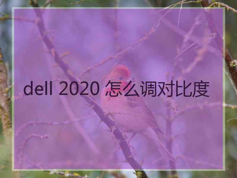 dell 2020 怎么调对比度