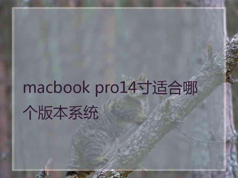 macbook pro14寸适合哪个版本系统