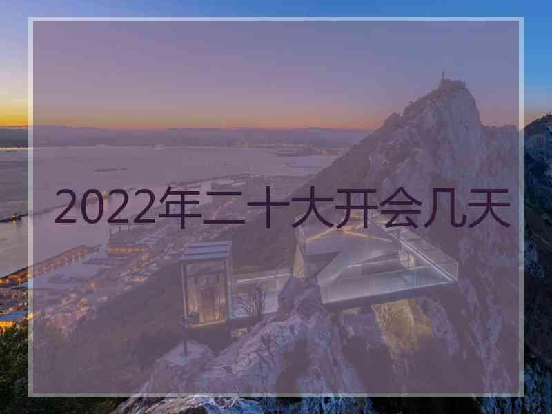 2022年二十大开会几天