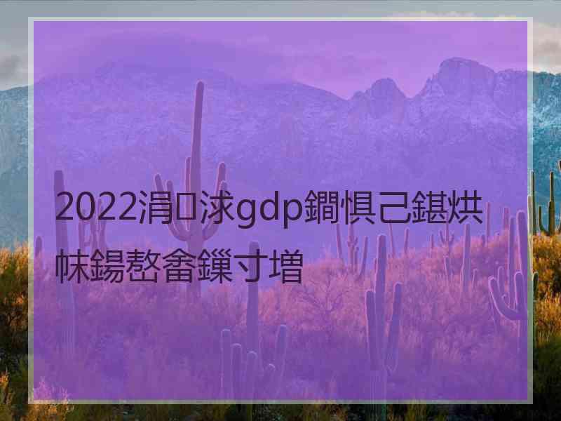 2022涓浗gdp鐧惧己鍖烘帓鍚嶅畬鏁寸増