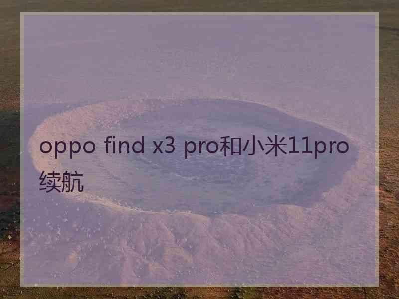 oppo find x3 pro和小米11pro续航