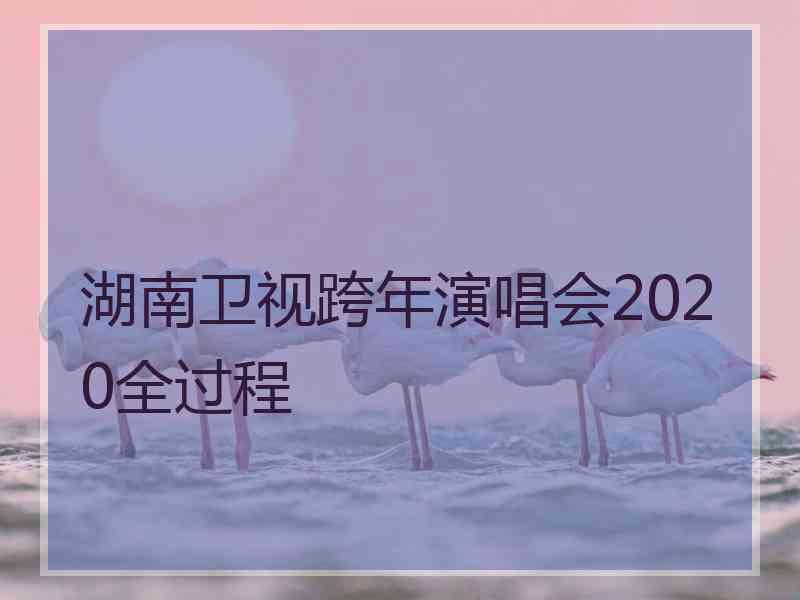 湖南卫视跨年演唱会2020全过程