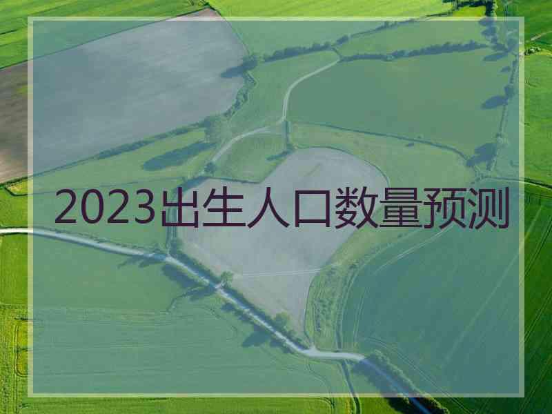 2023出生人口数量预测