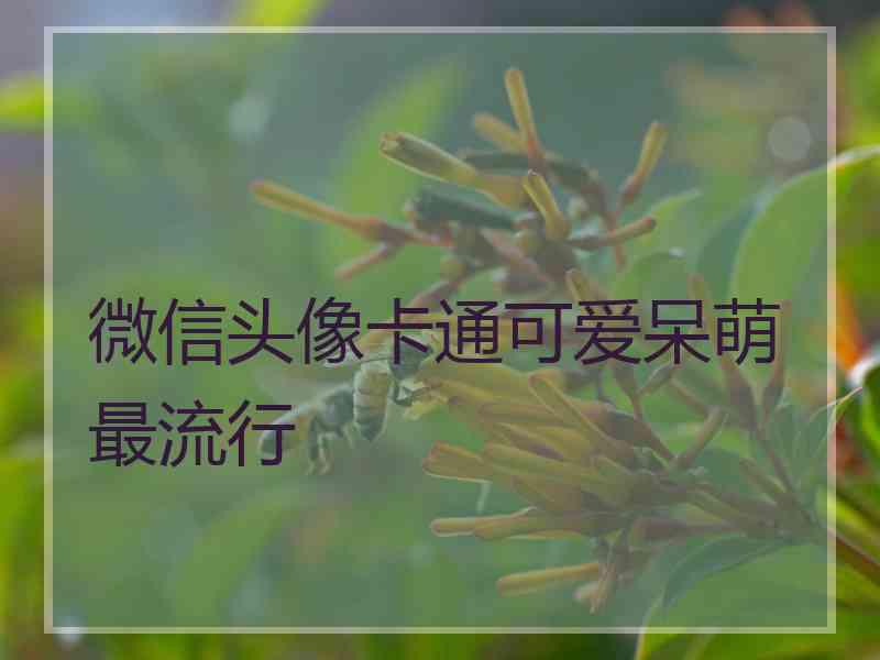 微信头像卡通可爱呆萌最流行