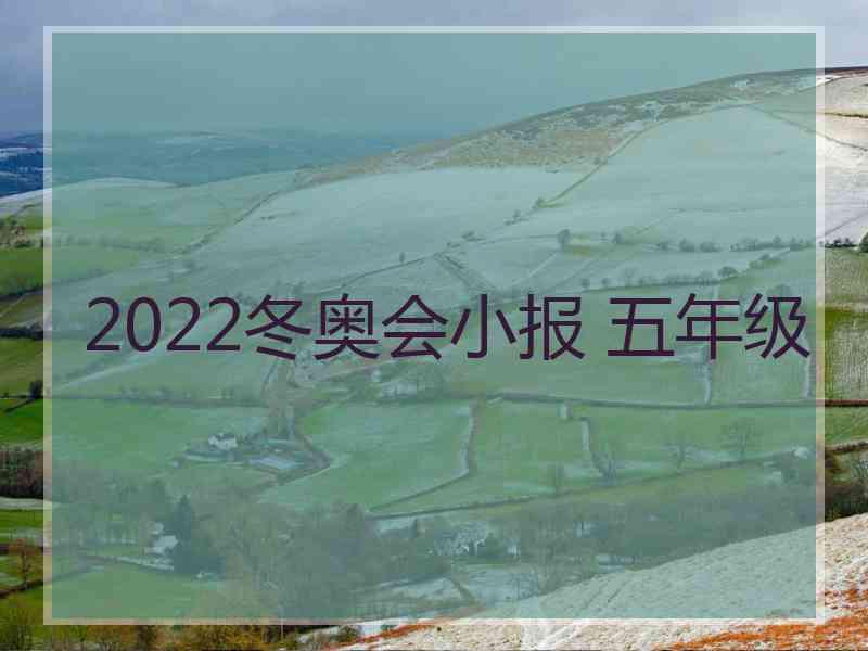 2022冬奥会小报 五年级