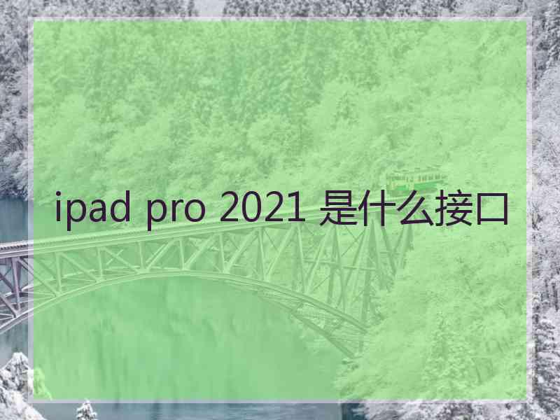 ipad pro 2021 是什么接口