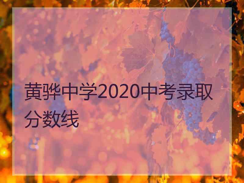 黄骅中学2020中考录取分数线