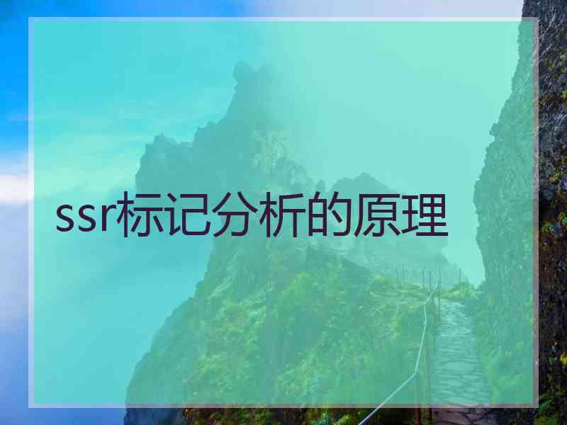 ssr标记分析的原理