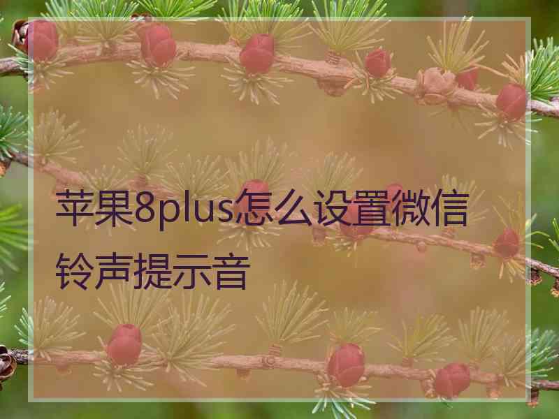 苹果8plus怎么设置微信铃声提示音