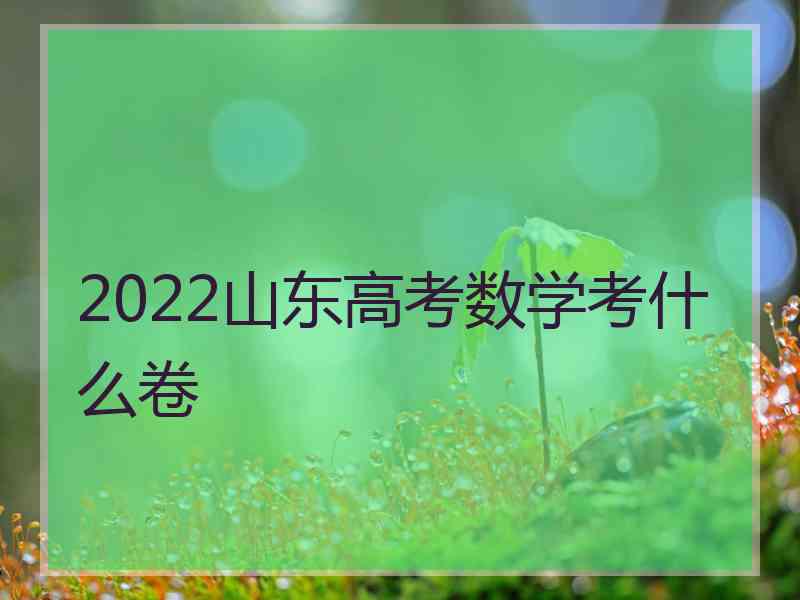 2022山东高考数学考什么卷