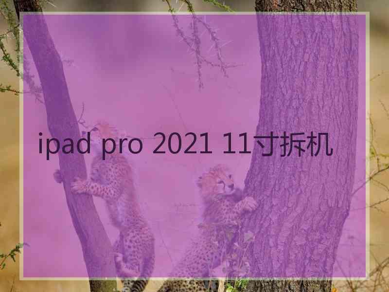 ipad pro 2021 11寸拆机