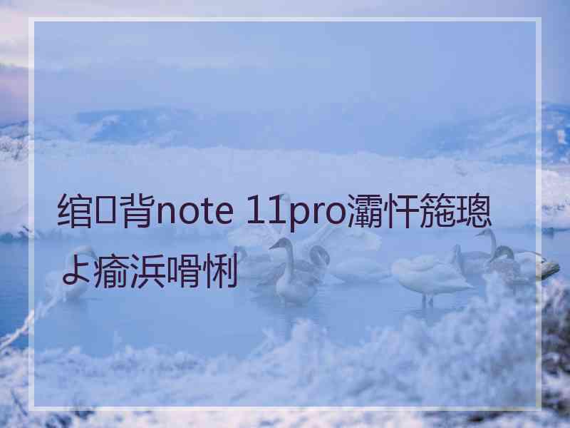 绾㈢背note 11pro灞忓箷璁よ瘉浜嗗悧