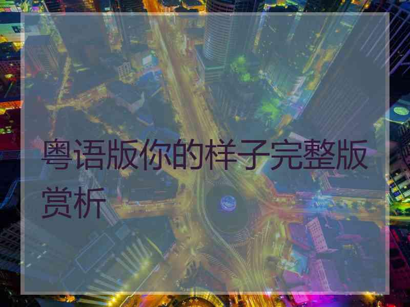 粤语版你的样子完整版赏析