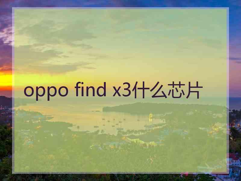 oppo find x3什么芯片