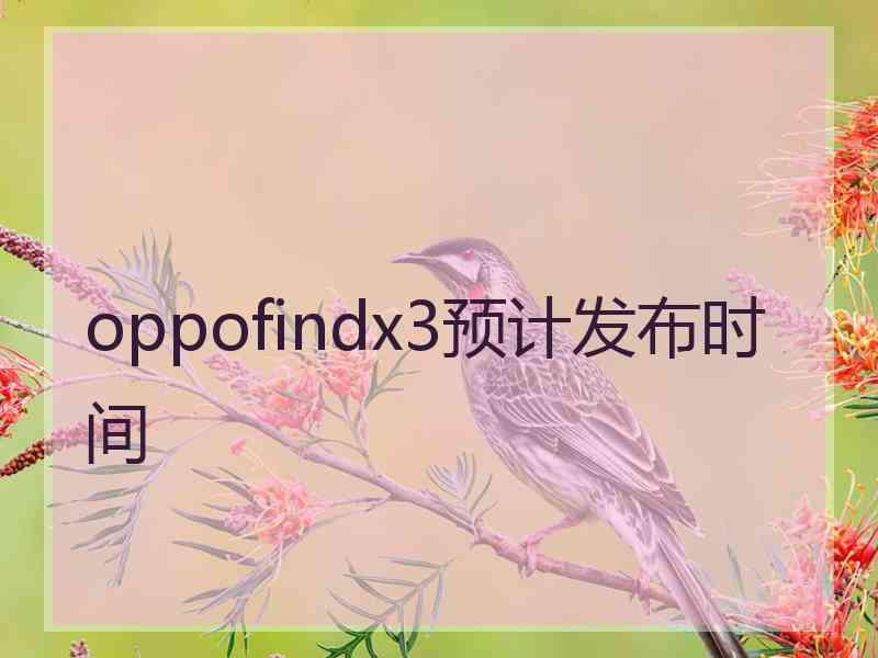 oppofindx3预计发布时间