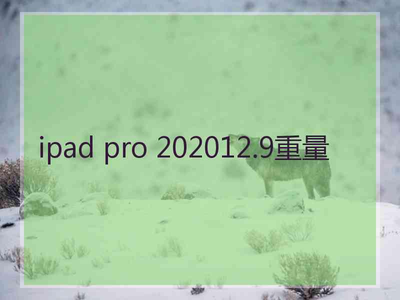 ipad pro 202012.9重量