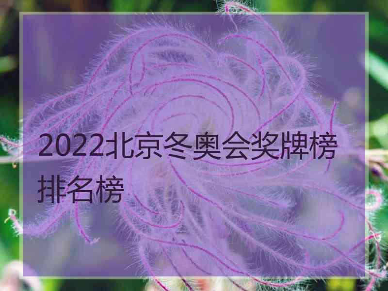 2022北京冬奥会奖牌榜排名榜