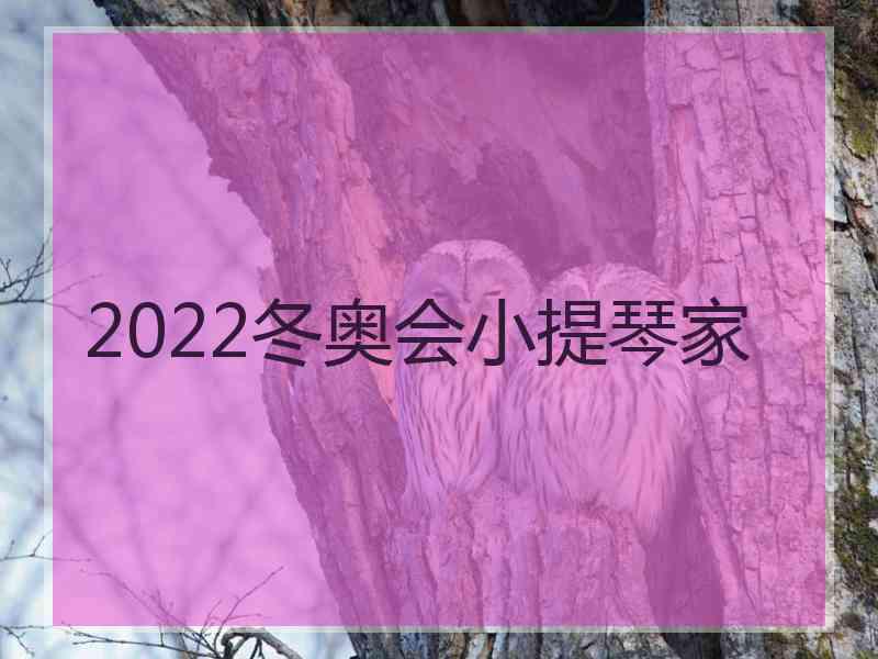 2022冬奥会小提琴家