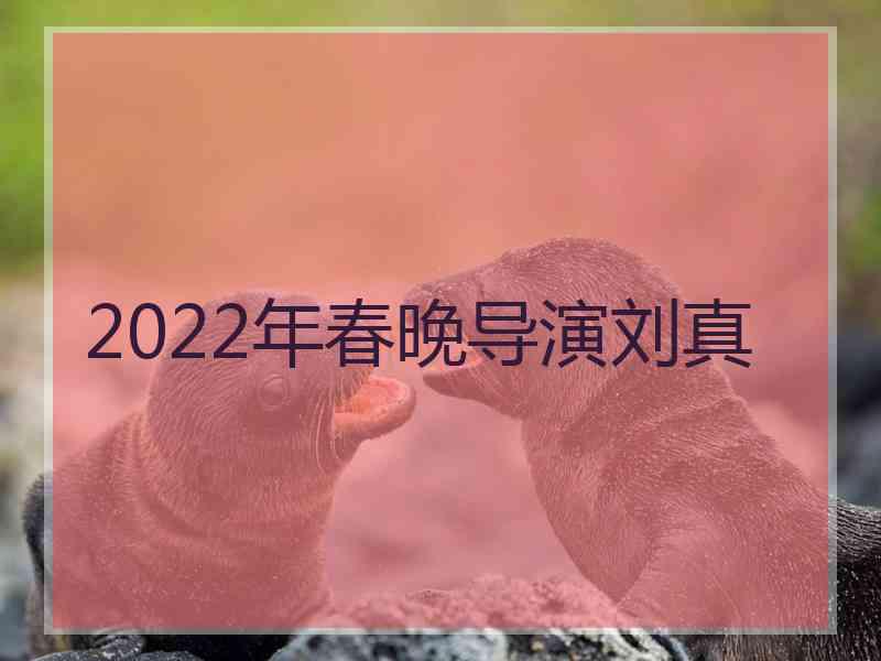 2022年春晚导演刘真