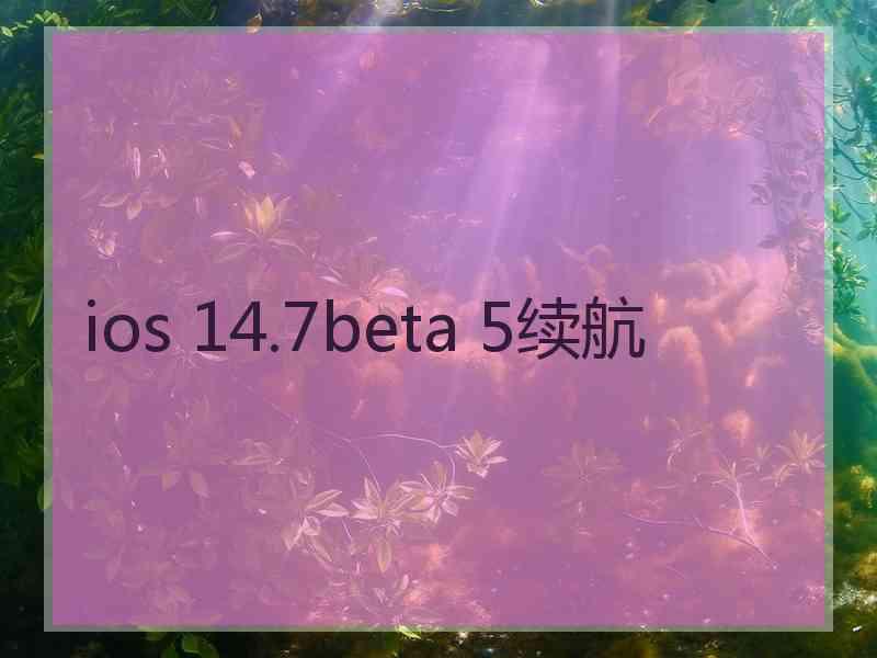 ios 14.7beta 5续航