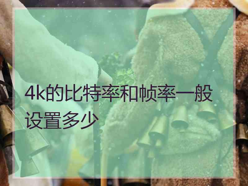 4k的比特率和帧率一般设置多少