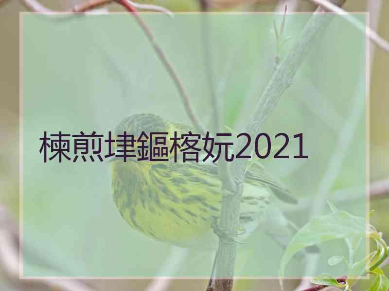 楝煎垏鏂楁妧2021