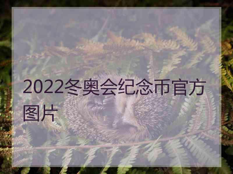 2022冬奥会纪念币官方图片