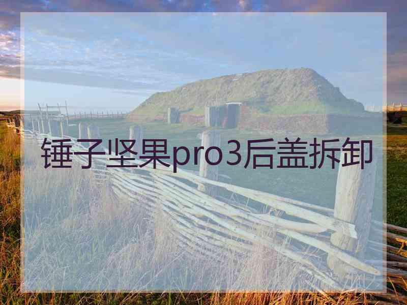 锤子坚果pro3后盖拆卸