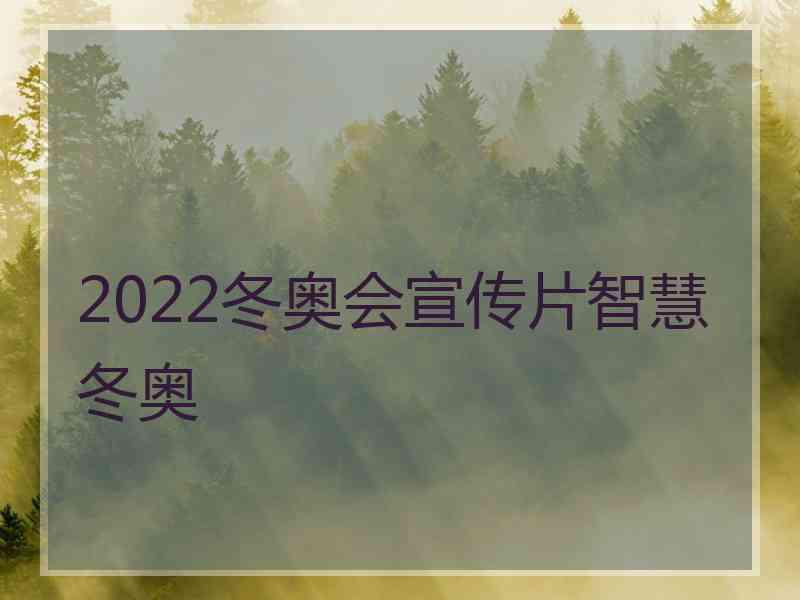 2022冬奥会宣传片智慧冬奥