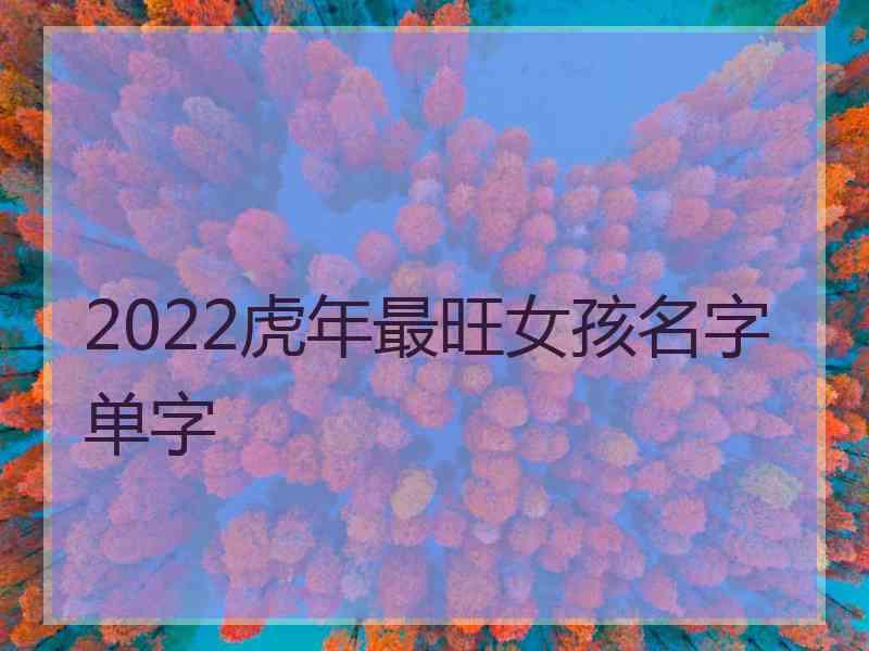 2022虎年最旺女孩名字单字