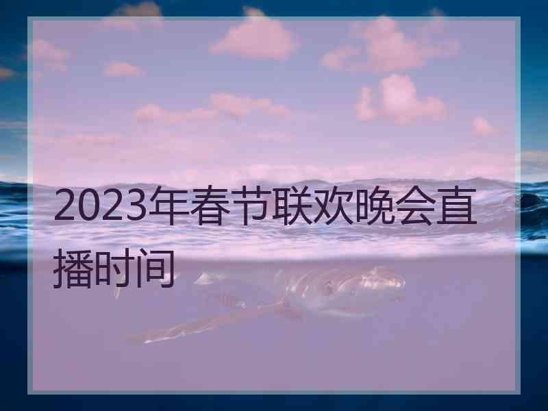 2023年春节联欢晚会直播时间