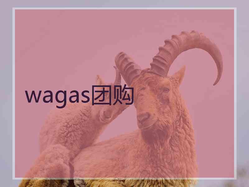 wagas团购