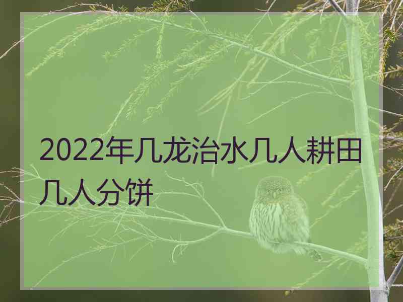 2022年几龙治水几人耕田几人分饼