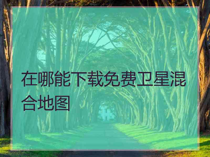 在哪能下载免费卫星混合地图