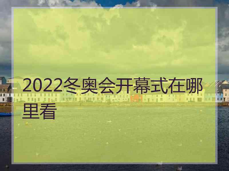 2022冬奥会开幕式在哪里看