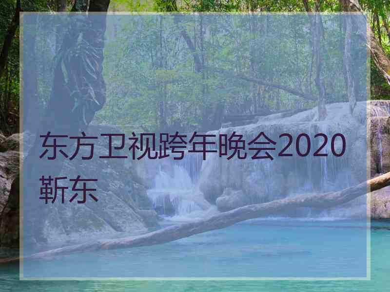 东方卫视跨年晚会2020靳东