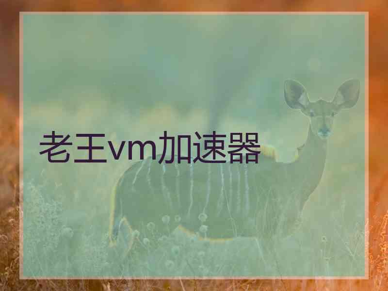 老王vm加速器