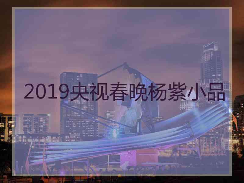 2019央视春晚杨紫小品