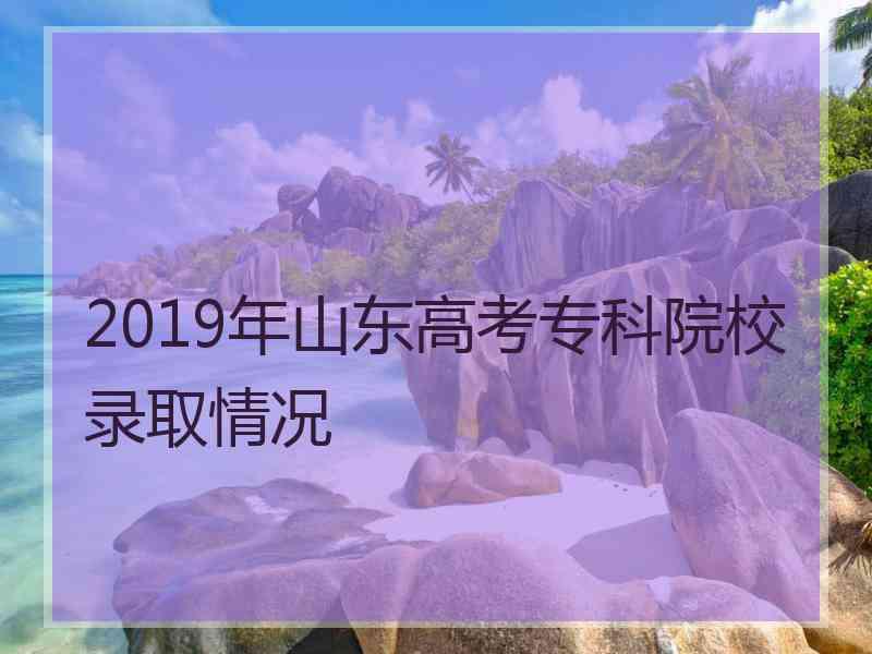 2019年山东高考专科院校录取情况