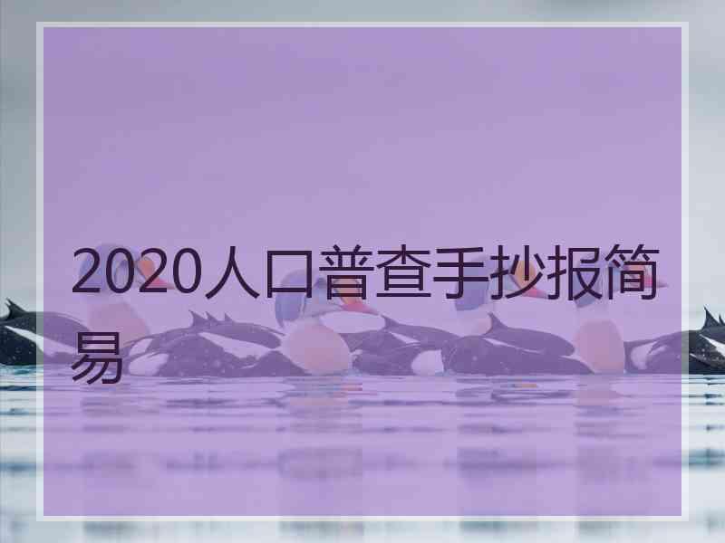 2020人口普查手抄报简易