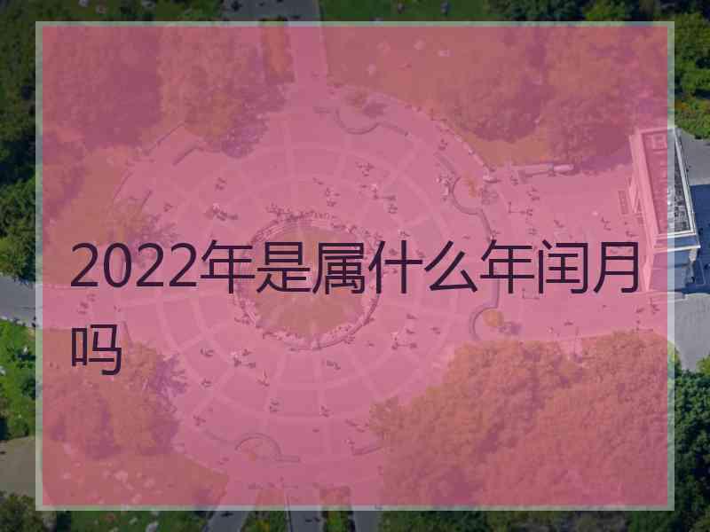 2022年是属什么年闰月吗