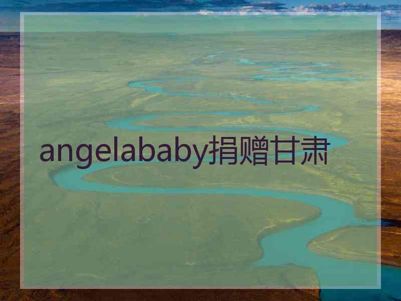 angelababy捐赠甘肃