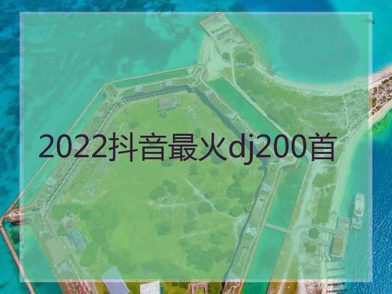 2022抖音最火dj200首