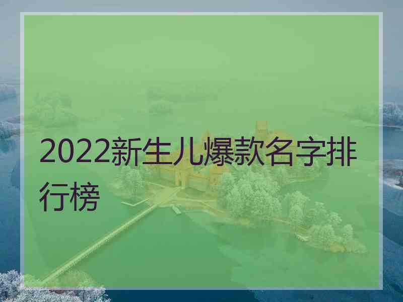 2022新生儿爆款名字排行榜