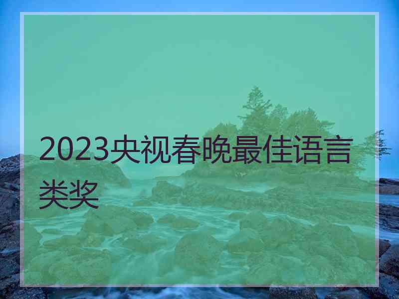 2023央视春晚最佳语言类奖