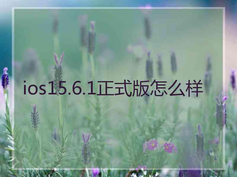 ios15.6.1正式版怎么样